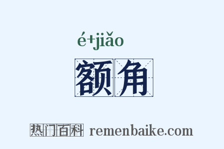 额角是什么意思的图片
